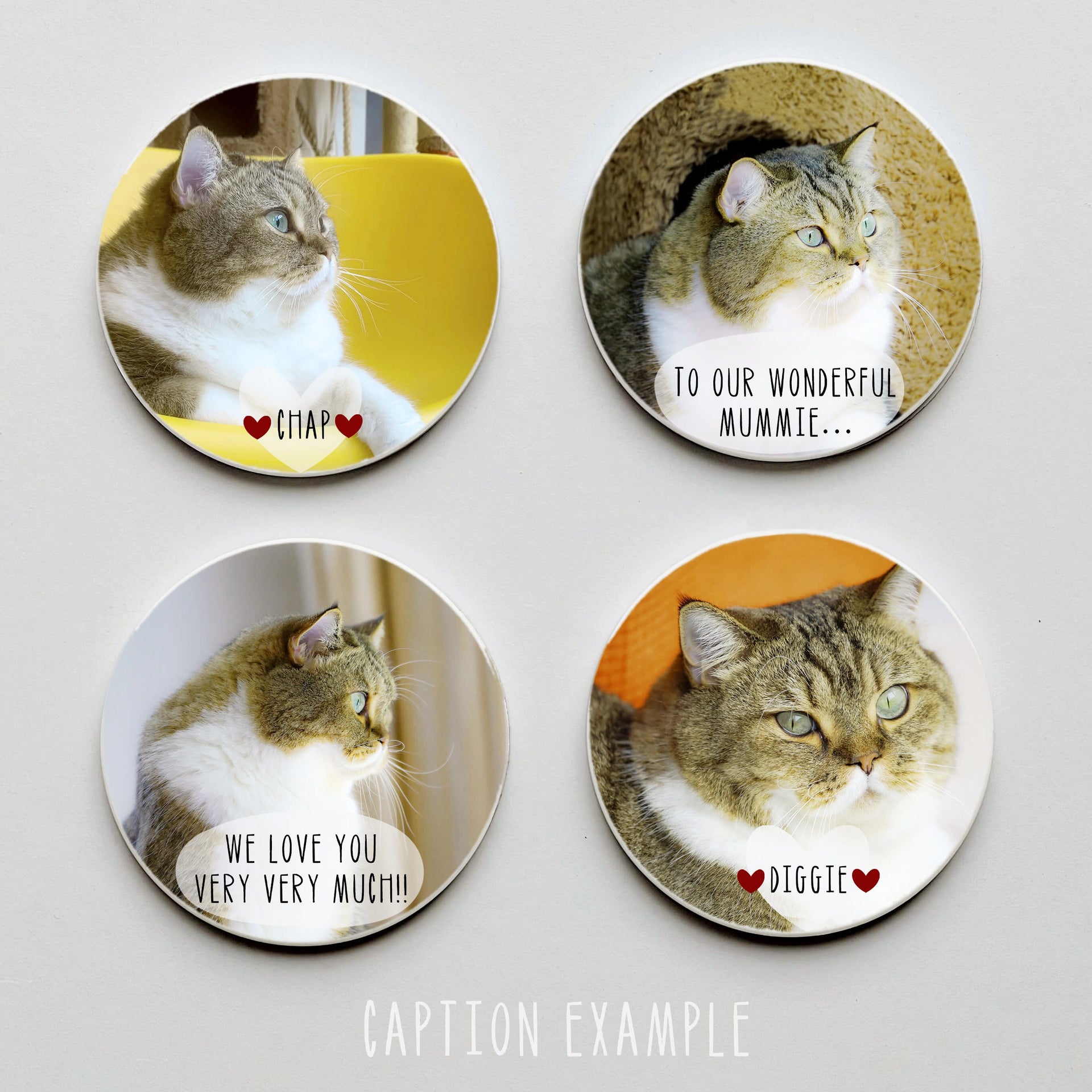 Cat Portrait Photo Coasters In Plywood Round or Square | Gift for Cat Lovers | Loving Pet Photo Coasters | Personalised Pet Photo Gift |